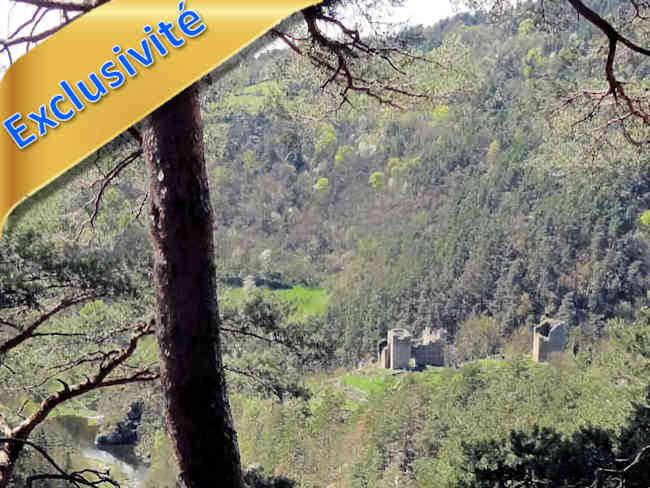 Château fort ruiné IMH à vendre entre Le Puy et Saint-Etienne (43, Haute-Loire) entouré de 12,5 ha de bois